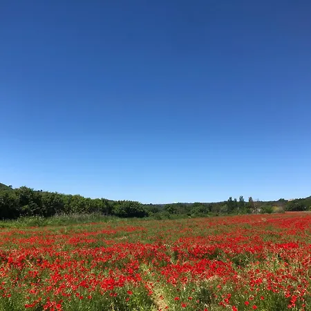 Chez Georges - Maison 6 - Les Du Verdon